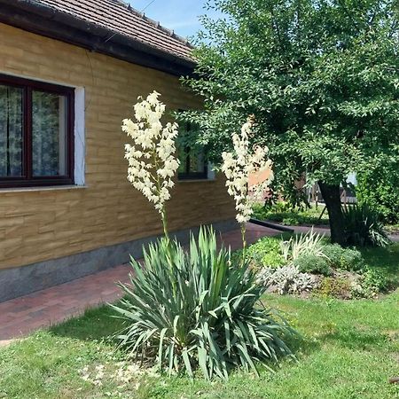 Haven Katherina Fonyodliget Zewnętrze zdjęcie