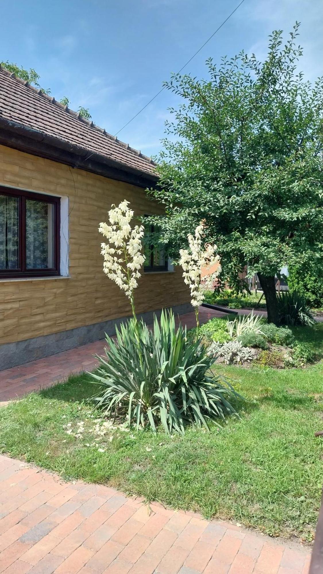 Haven Katherina Fonyodliget Zewnętrze zdjęcie